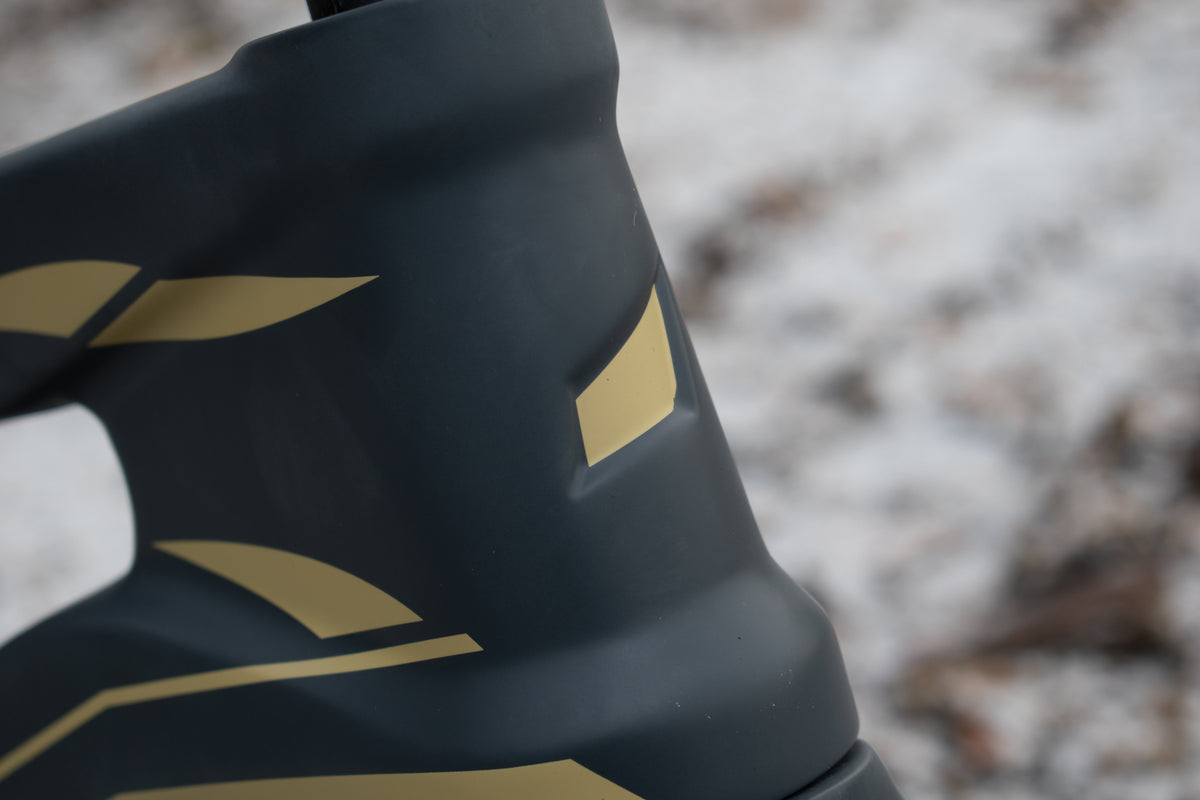 ICE Bikes RAPTOR PRO Race BMX Frame image 1