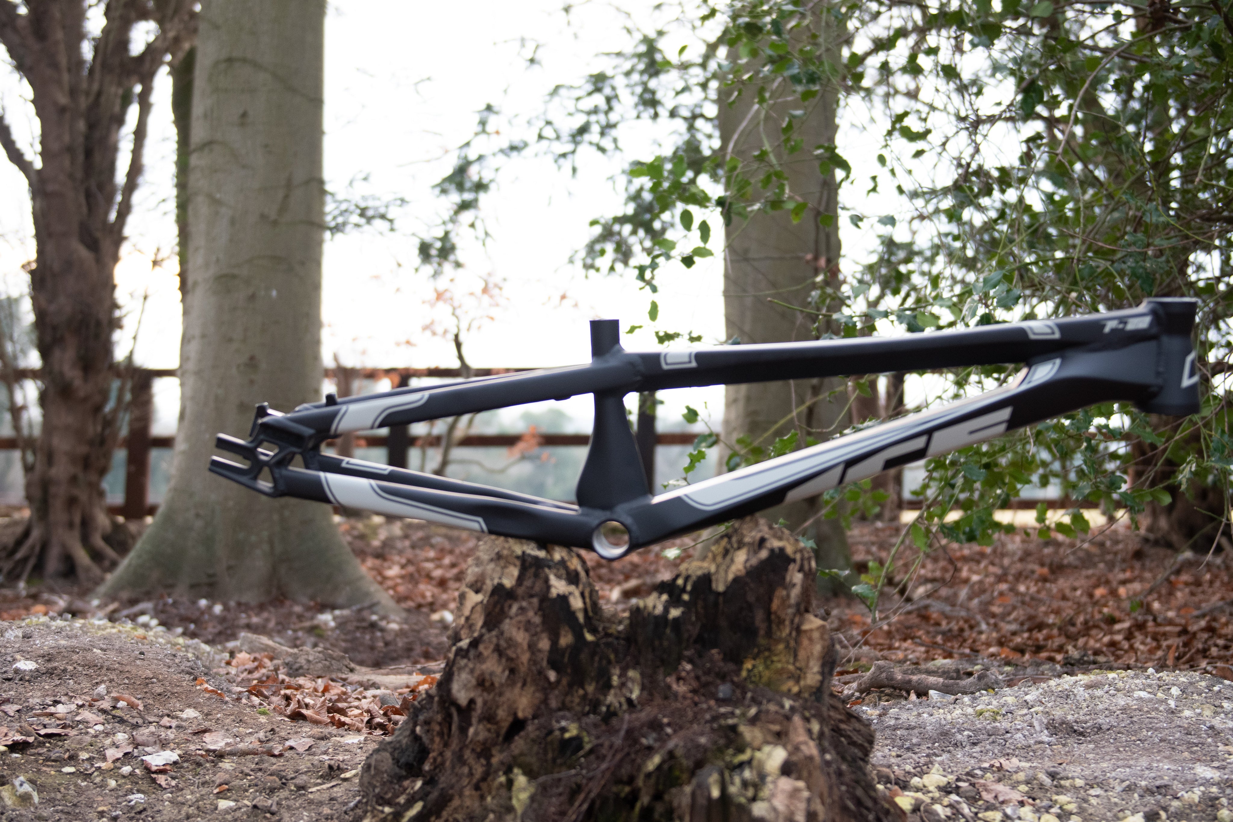 ICE Bikes F22 PRO XXXL Race BMX Frame image 0