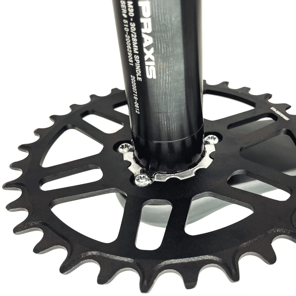 Praxis MTN DM1X Steel