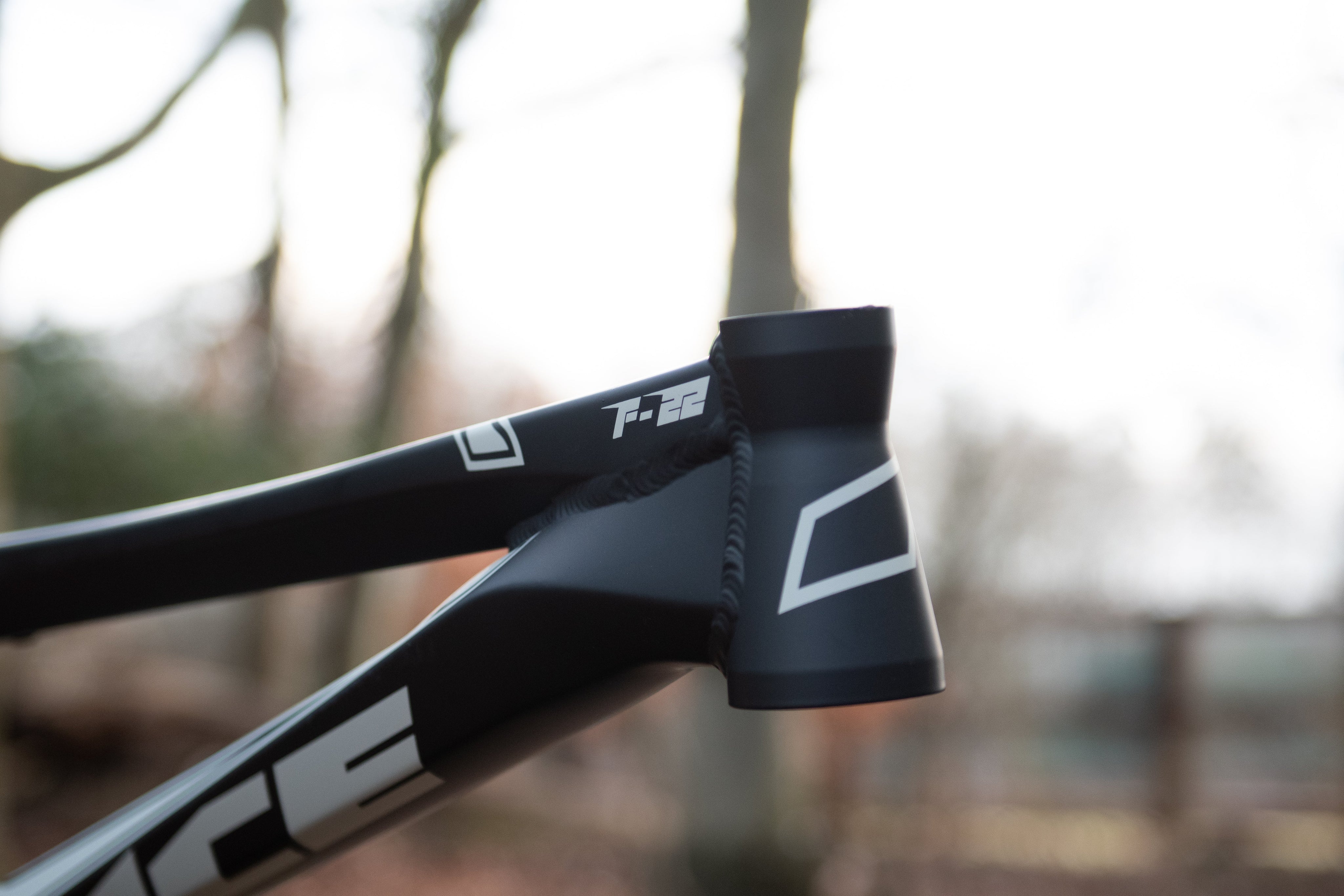 ICE Bikes F22 PRO XXXL Race BMX Frame image 1