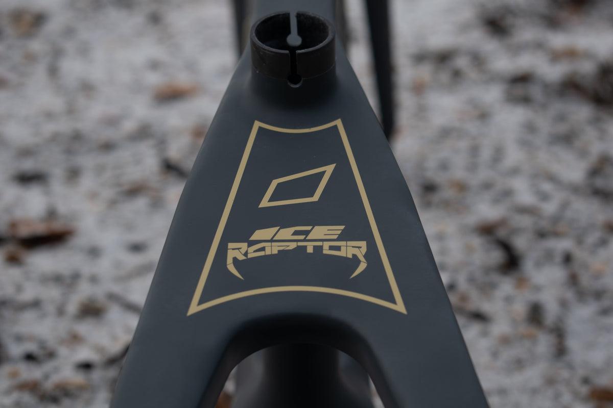 ICE Bikes RAPTOR PRO Race BMX Frame image 6